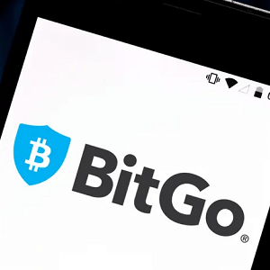 BITGO 300