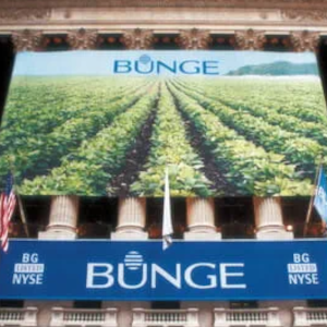 BUNGE 300