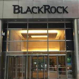 BlackRock_Christopher Michel300