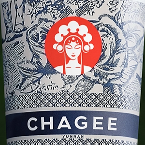 CHAGEE 300