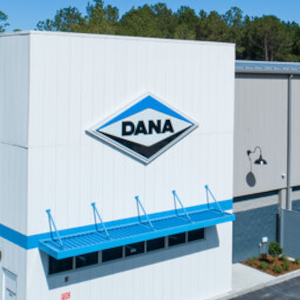 DANA 300