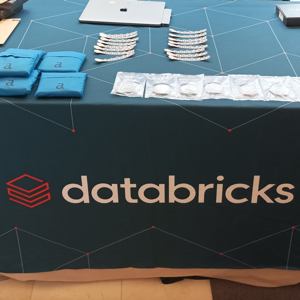 DatabricksBooth300