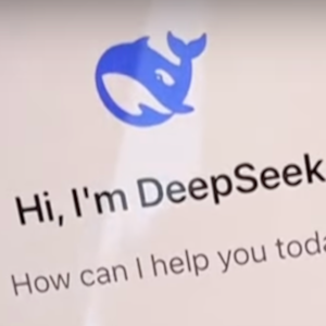 DeepSeek 300