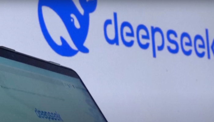 DeepSeek 700