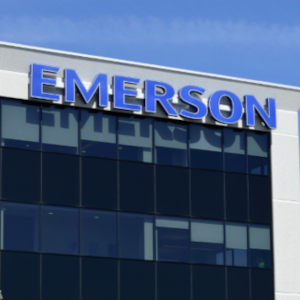 Emerson Electric 300 RAYSONHO