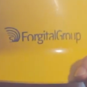 Forgital 300