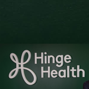 Hinge Health 300 HINGE