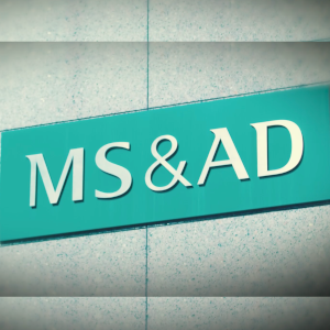 MS&AD 300