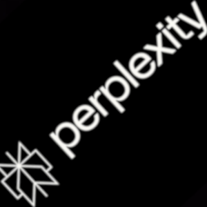 Perplexity 300