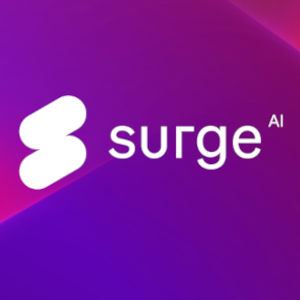 SURGE AI 300